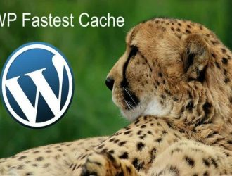 تنظیمات افزونه WP Fastest Cache