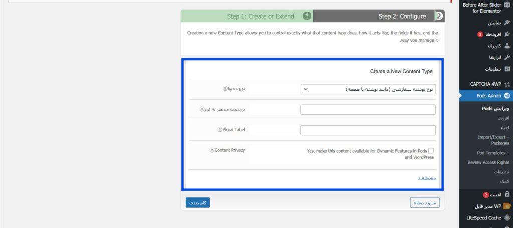 گزینه Custom Post Type